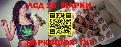 альфа пвп Новодвинск
