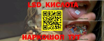 стафф Обь