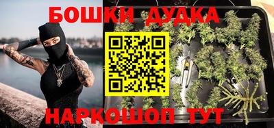 тгк Новокубанск