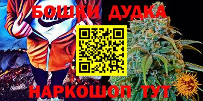 стафф Обь